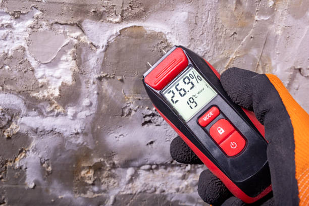 Best Mold Remediation  in Emerd Mountain, AL